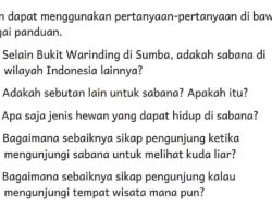 Bagaimana Sebaiknya Sikap Pengunjung Ketika Mengunjungi Sabana Untuk Melihat Kuda Liar Bahasa Indonesia Kelas 4