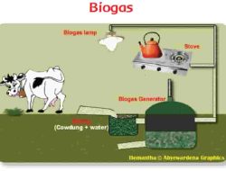 Berikan Dua Alasan Biogas Dapat Dijadikan Energi Aternatif Jawaban Tema 6 Kelas 3 Halaman 144