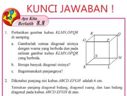 Panjang Sisi Kubus ABCD.EFGH Adalah 6 cm Tentukan Panjang Diagonal Bidang Diagonal Ruang dan Luas Bidang Diagonal