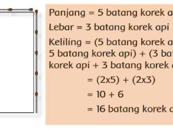 Hitung Perkirakan Luas Gambar Berikut Gunakan Alat Ukur Tidak Baku Jawaban Tema 6 Kelas 3 Halaman 159