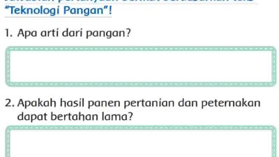 Jawablah Pertanyaan Berikut Berdasarkan Teks Teknologi Pangan Kunci Jawaban Tema 7 Kelas 3 Halaman 7