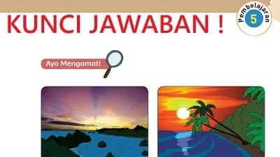 Kesimpulan apakah yang kamu dapatkan dari kegiatan pembelajaran di atas bacaan Mengenal Tata Surya dan Matahari Pusat sistem Tata Surya