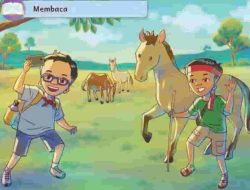 Kunci Jawaban Bahasa Indonesia Kelas 4 Halaman 142 Cerita Bertualang di Sabana Sumba Kurikulum Merdeka Belajar