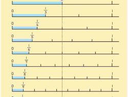 Kunci Jawaban Matematika Kelas 4 Halaman 78 Volume 2 Kurikulum Merdeka