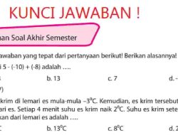 Kunci Jawaban Matematika Kelas 6 Halaman 193 194 195 196 197 198 Semester 2 dengan Caranya