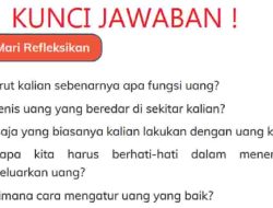 Menurut Kalian Apa Sebenernya Fungsi Uang Apa Jenis Uang yang Beredar di Sekitar Kalian