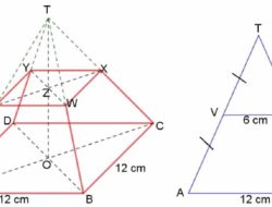 Titik A B C dan D Terletak Pada Bidang Sisi Bagian Bawah Titik T Merupakan Titik Perpotongan Garis