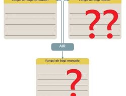 Peta Pikiran Fungsi Air Bagi Tumbuhan Hewan Manusia Tema 8 Kelas 5