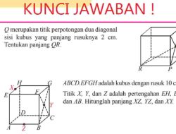 Q Merupakan Titik Perpotongan Dua Diagonal Sisi Kubus yang Panjang Rusuknya 2 cm Tentukan Panjang QR
