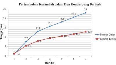 Sains Data panjang kecambah dalam kondisi lingkungan yang gelap dan terang selama tujuh hari disajikan dalam grafik berikut