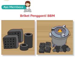 Sebutkan Fungsi Briket Kunci Jawaban Tema 6 Kelas 3 Halaman 138