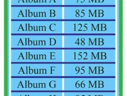 Tabel di Samping Menunjukkan Album-album Pada File Musik di dalam Flashdisk Milik Reta