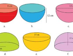 Luas Permukaan Bangun Setengah Bola Tertutup Berikut 8 cm Halaman 303