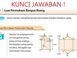 Kunci Jawaban Matematika Kelas 7 Halaman 214 Kurikulum Merdeka Semester 2