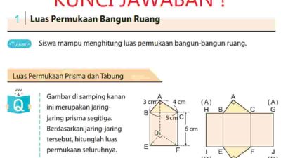 Kunci Jawaban Matematika Kelas 7 Halaman 214 Kurikulum Merdeka Semester 2