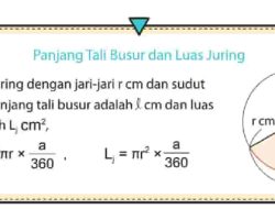 Kunci Jawaban Matematika Kelas 7 Halaman 217 Kurikulum Merdeka Semester 2