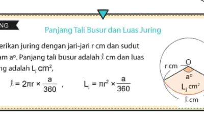 Kunci Jawaban Matematika Kelas 7 Halaman 217 Kurikulum Merdeka Semester 2