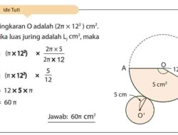Kunci Jawaban Matematika Kelas 7 Halaman 219 Kurikulum Merdeka Semester 2