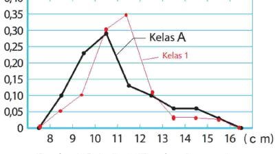 Kunci Jawaban Matematika Kelas 7 Halaman 242 Kurikulum Merdeka Semester 2