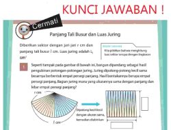 Kunci Jawaban Matematika Kelas 7 Halaman 220 Kurikulum Merdeka Semester 2