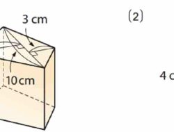 Kunci Jawaban Matematika Kelas 7 Halaman 221 Kurikulum Merdeka Semester 2