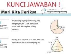 Kunci Jawaban Matematika Kelas 7 Halaman 226 Mari Kita Periksa Kurikulum Merdeka Semester 2