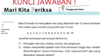 Kunci Jawaban Matematika Kelas 7 Halaman 251 Kurikulum Merdeka Semester 2
