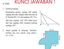 Kunci Jawaban Matematika Kelas 8 Halaman 319 320 321 Uji Kompetensi Semester II