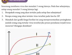 Kunci Jawaban Matematika Kelas 10 Halaman 9 Kurikulum Merdeka Ayo Bereksplorasi