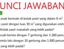 Ada 10 Anak Bermain di Kotak Pasir yang dalam 8 m² Di Sebelahnya Ada Kotak Pasir dengan Luas 10 m²