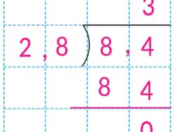 Berapa m Lebar Dari Sebuah Taman Bunga Berbentuk Persegi Panjang yang Memiliki Panjang 2,8 m dan Luas 8,4 m²