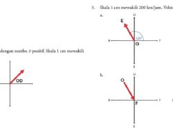 Gambarkan Vektor Kecepatan Pesawat Terbang dengan Kelajuan 450 Km/jam dan Arah Terbang Membentuk Sudut 120°