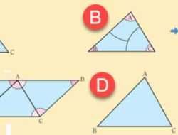 Gambarlah Suatu Segitiga dan Ukurlah Besar Ketiga Sudutnya Menggunakan Busur Derajat