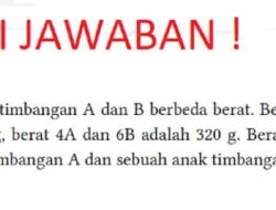 Kunci Jawaban Matematika Kelas 8 Halaman 48 Kurikulum Merdeka Diketahui Dua Anak Timbangan A dan B Berbeda Berat