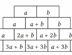 Kunci Jawaban Matematika Kelas 8 Halaman 55 Kurikulum Merdeka Dengan Mengikuti Suatu Aturan Bilangan-bilangan Berikut