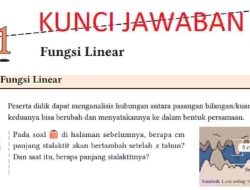 Kunci Jawaban Matematika Kelas 8 Halaman 62 Kurikulum Merdeka Berapa Panjang Stalaktit Setelah 60 Tahun