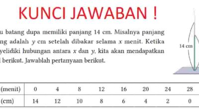 Kunci jawaban Matematika kelas 8 halaman 63 kurikulum merdeka semester 1 Suatu batang dupa memiliki panjang 14 cm