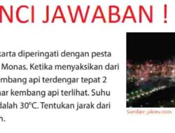 Ulang Tahun Jakarta Diperingati dengan Pesta Kembang Api di Monas Ketika Menyaksikan Dari Rumah