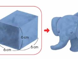 Kita Akan Membuat Gajah Menggunakan Tanah Liat Berbentuk Kubus dan Prisma Segi Empat Seperti di Bawah Ini
