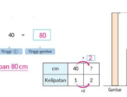 Jika Kita Menggambar Boneka yang Tingginya 2 Kali Dari Boneka (c) Berapakah Tinggi Boneka Baru
