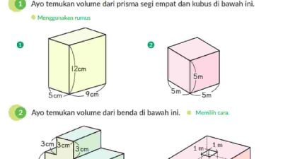 Kunci Jawaban Matematika Kelas 5 Volume 1 Halaman 102 Kurikulum Merdeka Ayo temukan volume dari prisma segi empat dan kubus di bawah ini 5 cm 9 cm 12 cm