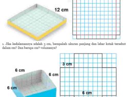 Kunci Jawaban Matematika Kelas 5 Volume 1 Halaman 103 Kurikulum Merdeka Buatlah Sebuah Kotak Tanpa Tutup dengan Menggunakan Petak Persegi