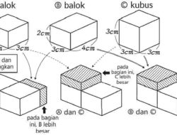 Kunci Jawaban Matematika Kelas 5 Volume 1 Halaman 88 89 Kurikulum Merdeka Ayo Bandingkan Ukuran Kotak yang Dimiliki Oleh 3 Orang Anak