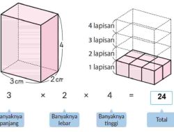 Kunci Jawaban Matematika Kelas 5 Volume 1 Halaman 92 93 94 Kurikulum Merdeka Berapa Banyak Kubus Satuan 1 cm³ yang Terdapat Pada Lapisan Paling Bawah