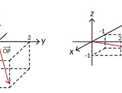 Kunci Jawaban Matematika Kelas 10 Halaman 79 Kurikulum Merdeka Nyatakan Kedua Vektor Posisi dalam Vektor Kolom dan Baris