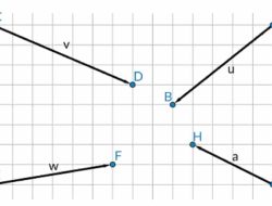 Tentukan Vektor Satuan dan Vektor Berkebalikan Vektor-vektor dalam Soal Nomor 2