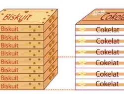 Tulislah 4 Kelipatan Persekutuan Pertama Dari Tiap Kelompok Bilangan di Bawah Ini 5 dan 2 Temukan KPK nya