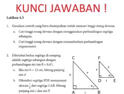 Diketahui Kedua Segitiga di Samping Adalah Segitiga Sebangun dengan Perbandingan Sisi Tan θ = 0,47