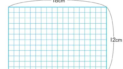 Kunci Jawaban Matematika Kelas 5 Volume 1 Halaman 115 116 117 118 119 120 Kurikulum Merdeka Tempatkan persegi dengan ukuran yang sama