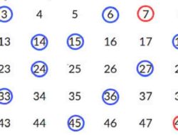 Kunci Jawaban Matematika Kelas 5 Volume 1 Halaman 123 Kurikulum Merdeka Ayo Pikirkan Bilangan Sampai 50